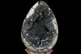 Septarian Dragon Egg Geode - Removable Section #68235-2
